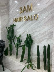 -3AM HAIR SALON染发烫发接发