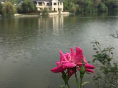 -杭州世外桃源君澜度假酒店