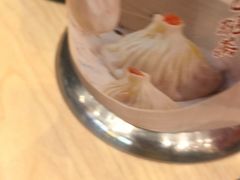 -小杨生煎(深圳岗厦北店)