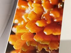 -眉州东坡(清河万象汇店)