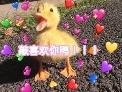 -LELECHA乐乐茶(新街口大洋店)