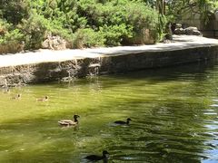 -团结湖公园