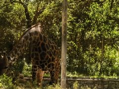 -北京野生动物园