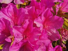 -东方假日田园-停车场