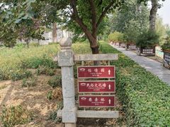 -赵州桥景区