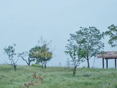 -良渚古城遗址公园