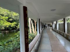 -人民公园(罗湖区)