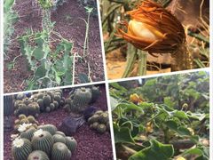 -南通洲际绿博园