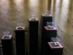 -MOJO密室逃脱(中街旗舰店)