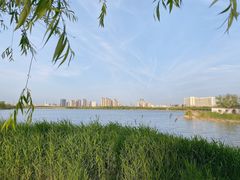 -水西公园