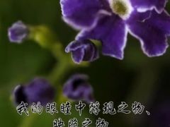 -科学家咖啡(海岸城店)