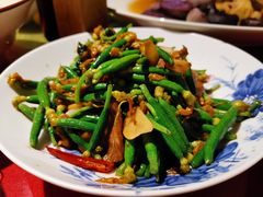 时迁黄瓜芽-兴农记