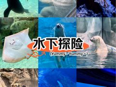 -欢乐海岸海洋奇梦馆