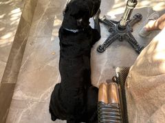 -T-COFFEE(长江花园店)