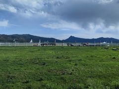 -敕勒川草原