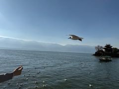 -小普陀