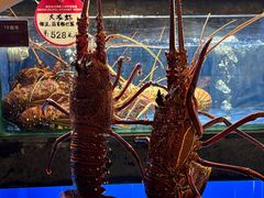 -徐记海鲜(陕西历史博物馆|明德门店)