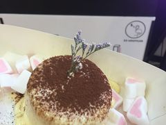 -狐狸和向日葵(北京路店)