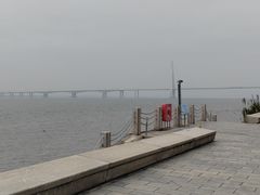 -芒洲湿地公园