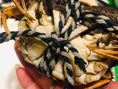 螃蟹-索菲特银河锦厨自助餐(山西路店)