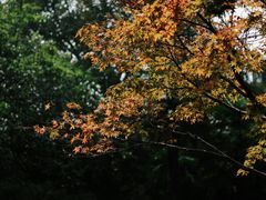-苏堤停车场
