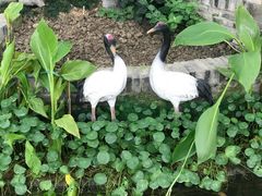 -嬉乐湾休闲旅游区