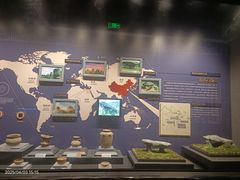 -温州博物馆