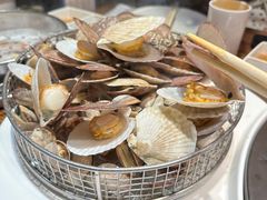 野生扇贝-海味当家·蒸锅海鲜(星海公园店)
