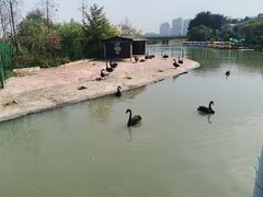 -琅岐红光湖公园