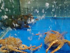 -麦德龙(郑东店)