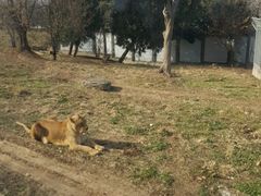 -西安秦岭野生动物园