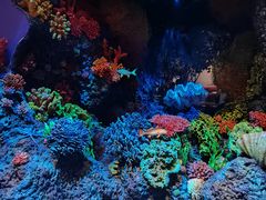 -中国湿地博物馆