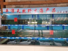 水产区-坛南湾阿强农家乐.海鲜大排档老字号(福州地标美食店)