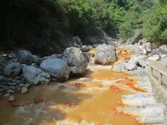 -华蓥山天意谷景区