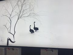 -BLACKSWAN黑天鹅(环球店)