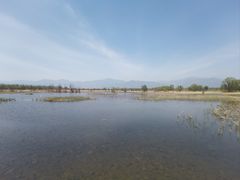 -野鸭湖国家湿地公园