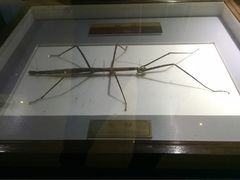 -上海昆虫博物馆