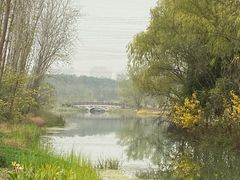 -昆山城市生态森林公园