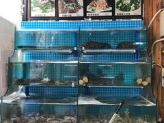 水产区-老东镇啤酒屋海鲜加工·蒸汽海鲜·海鲜烧烤(台东店)