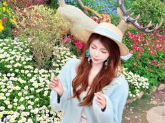 -荷兰花海