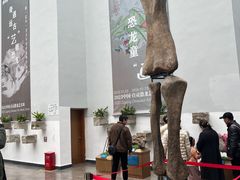 -自贡恐龙博物馆