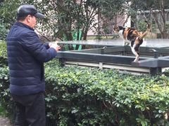 -新湖明珠城