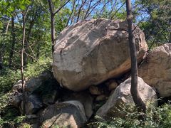 -大岭沟猕猴桃谷风景区