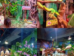 -正佳雨林生态植物园