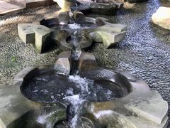-成都市活水公园