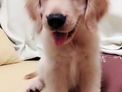 -沐沐家宠物(成寿寺店)