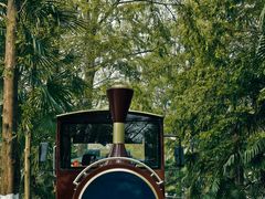 -合肥滨湖国家森林公园