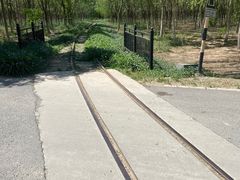 -西青郊野公园