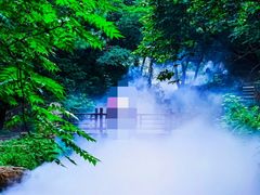 -北京西山国家森林公园