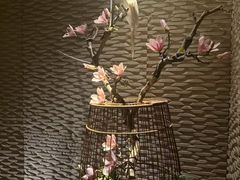 -浅深(北京北四环精品店)